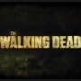 Walking Dead S03 E09, (워킹데드 시즌3 9화)