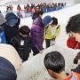빙어축제 경기도안성 빙어낚시 축제이야기