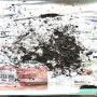 (토룡이와 친구들의 지렁이사육) 음식물 쓰레기 제로 도전기 ( 지렁이와 신문지 그리고 벌레) - 71