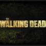 Walking Dead S03 E10, (워킹데드 시즌3 10화)