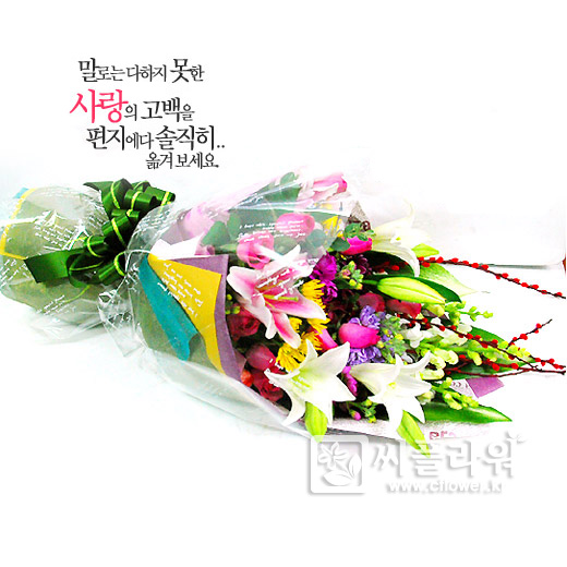 연주회☆발표회☆독주회☆전시회 축하문구 : 네이버 블로그