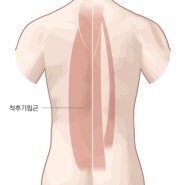 [허리운동] 굿모닝 운동