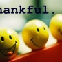 [블로그씨] Things to be thankful for...