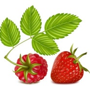 건강에 좋은 제철 과일, 딸기 !!
