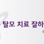 [청주탈모/청주남성탈모/청주여성탈모/청주탈모치료]★청주 미앤모 탈모치료 프로그램★탈모치료전문