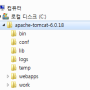 [웹 컨테이너] 톰캣 설치