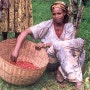 <아프리카의 나라>커피의 고향 에티오피아, 유구한 역사를 자랑하는 나라