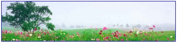블로그 상단 스킨 모음 : 네이버 블로그