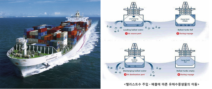 [BWMS]BWMS(Ballast Water Management System)의 개요 : 네이버 블로그