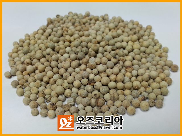 베트남 백후추 수입(무역) 공급. : 네이버 블로그