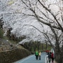 [경남 하동] 쌍계사 십리벚꽃길 & 화개장터 -130331