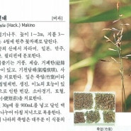 제주조릿대에 대한 약학문헌 - 한국의 약용식물편