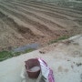 남산골농원의 참깨 땅콩 농사 시작