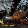 밤에보는 금오산 벚꽃나들이♥^.^