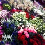 [런던마켓] 콜럼비아 로드 꽃시장 :: 봄바람이 이끄는 그 곳