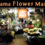 [플라워샵] 일본 유명 플라워샵 Aoyama Flower Market을 소개합니당^^