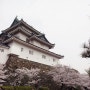 [2013 일본여행] 와카야마성 - 조금 이른 사쿠라 마츠리(벚꽃축제)의 기분을 느껴보자