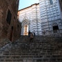 시에나(3) 도오모 성당 오르는 계단