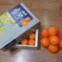 작년 고3 대학입학한 학생의 어머니가 방문하여 선물해주신 감귤과 오렌지...서로 눈물이 글썽글썽했네요.^^[송파][한양][독서실]