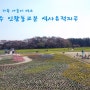 경주여행2 - 경주 역사유적지구 (봄날 가족나들이 장소로는 최고!)