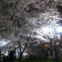 잠실 석촌호수 벚꽃 나들이 - 기분 좋은 밤공기 :) (잠실역 석촌호수 가는길)