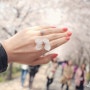 # 좋은 느낌 (6) - 봄봄 벚꽃