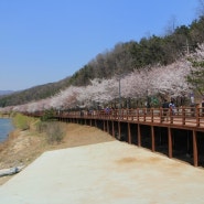 백운산 567m 등반 (수원 광교산 종점 - 절터 - 억새밭 - 백운호수(의일마을)