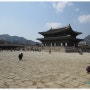 『서울특별시 중구』마지막 벚꽃을 찾아 떠난 조선의 성지, 경복궁(130421)