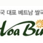 대한민국 대표 베트남 쌀국수 프랜차이즈 호아빈
