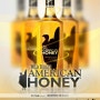 2013.04.27 SAT 아메리칸허니 파티 American Honey party 서면 247 입장료