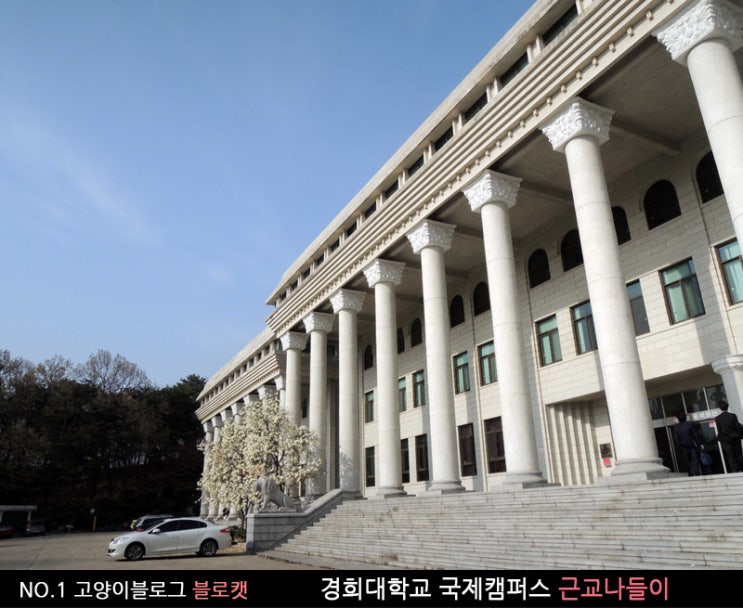 [경희대학교 국제캠퍼스] 수원가볼만한곳 경희대 근교나들이♬ : 네이버 블로그