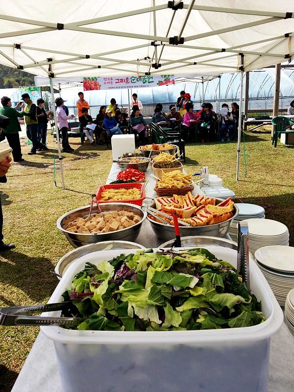 경남 사천 체험 농장 그리운 순이 농장도 있고 배누리 교육 농장...