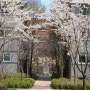 [제일풍경채 33평 매물] 김포한강신도시 제일풍경채 정원의 봄소식과 함께 매물추천합니다.