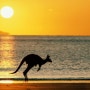 서른한살에 떠난 호주워킹홀리데이 - 하필이면 호주를?