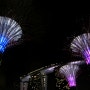 [싱가포르 여행] 싱가포르의 최고 야경지, 새로 생긴 '가든 바이 더 베이(Gardens by the Bay)