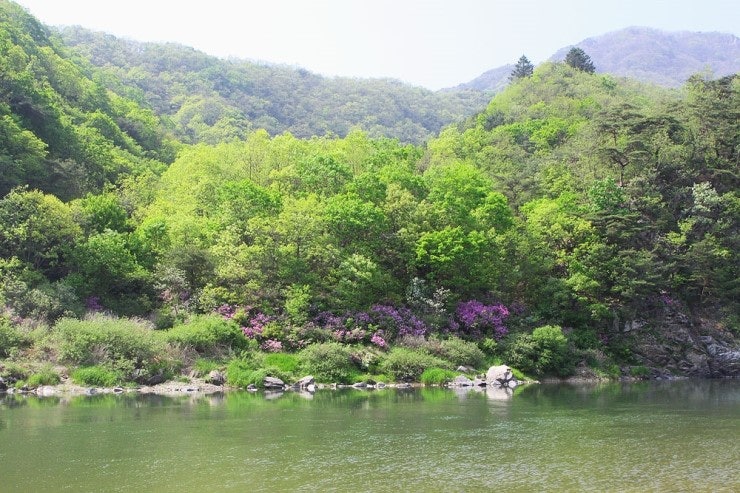 홍천 고요한 아침 강가 펜션 (5.11) : 네이버 블로그