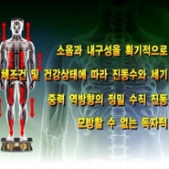 음파진동운동기의 특허와 독창성