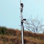 부산 버스회사 HD CCTV 시스템 구축 - 실외 CCTV 폴대에 적외선 HD CCTV 설치로 고화질 주야간 감시확실