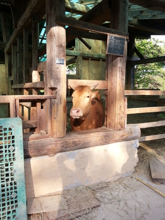 내가 본 풀무학교의 풍경 (2) : 네이버 블로그
