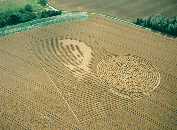 외계인이 보내온 메세지-alien face crop circle : 네이버 블로그