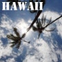 [하와이자유여행] 예쁜 열대어와 재미난 스노클링 즐기는 곳... 하와이 하나우마베이 (Hanauma Bay)