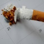제26회 세계금연의 날입니다. 담배의 유래와 금연하는법
