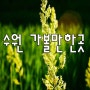 수원가볼만한곳[벽화골목대안공간눈.수원천&화홍문.한국인의밥상]