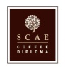 SCAE CDS과정 - SCAE COFFEE DIPLOMA : 네이버 블로그