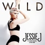 Jessie J (Feat. Big Sean, Dizzee Rascal) - Wild (가사,듣기,해석,뮤비)