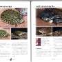 [거북이도감] Freshwater Turtle 048~067 page