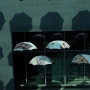 사진 한장 이야기 - 시민청에 있는 우산들