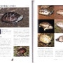 [거북이도감] Freshwater Turtle 068~087 page
