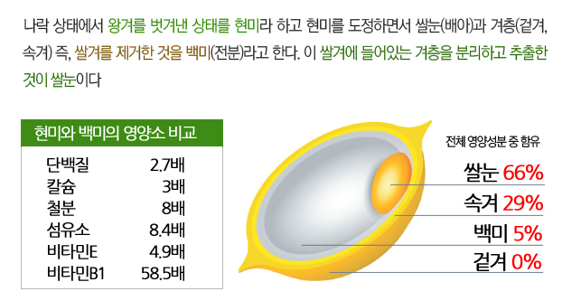 쌀눈, 놀라운 영양의 보물 : 네이버 블로그