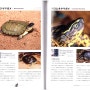 [거북이도감] Freshwater Turtle 108~127 page